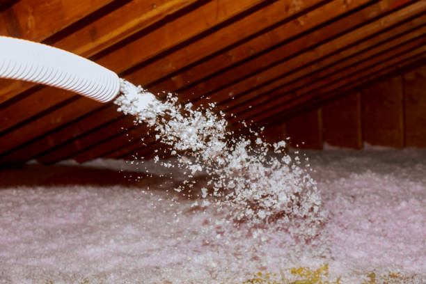 Best Cellulose Insulation in Fort Belvoir, VA